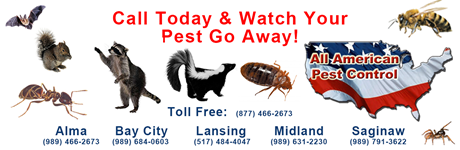 All American Pest Control logo
