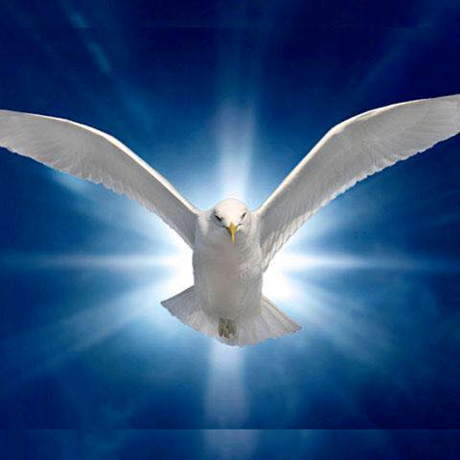 Catholic Charismatic Renewal Center logo