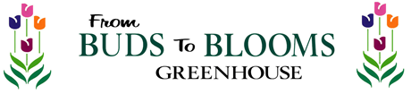 From Buds to Blooms logo