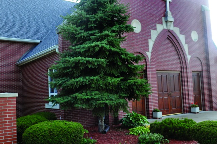 logo for Our Lady of Peace Parish of Bay City